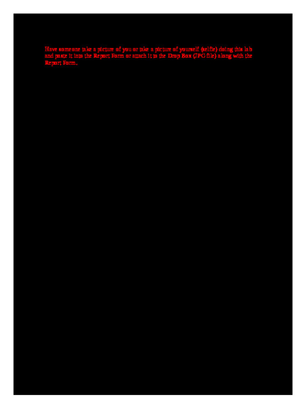 Exp_03_Density__At_Home_.docx