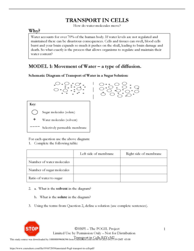 annotated_Pogil_transport_in_cells.pdf
