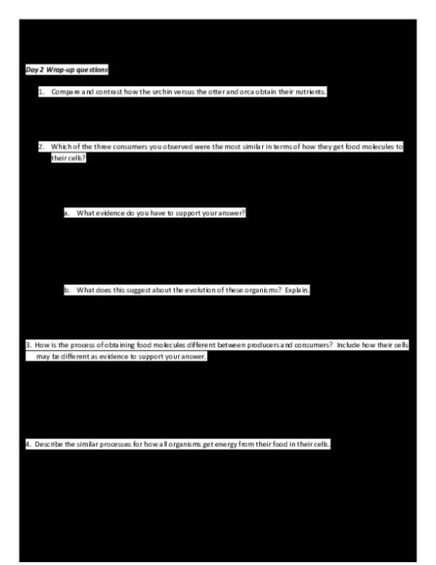 Kami_Export___Cellular_Energy_Life_Science.pdf
