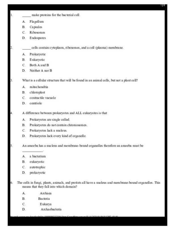 MCQs.pdf