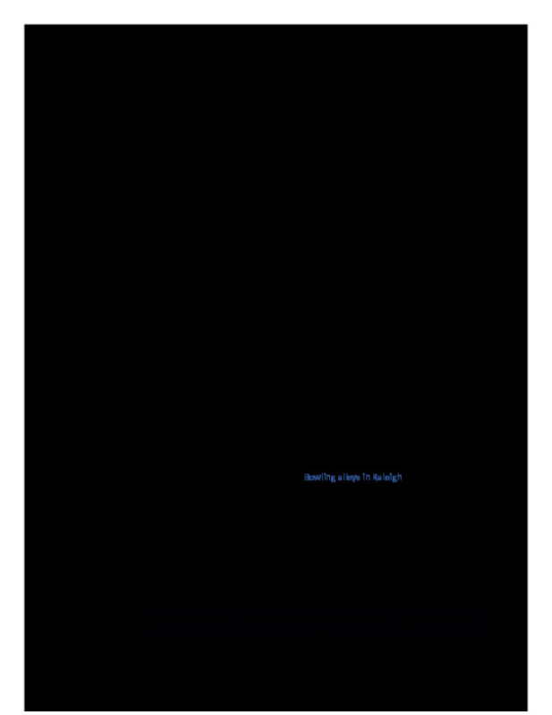 Case_3___Westlake_Lanes.docx