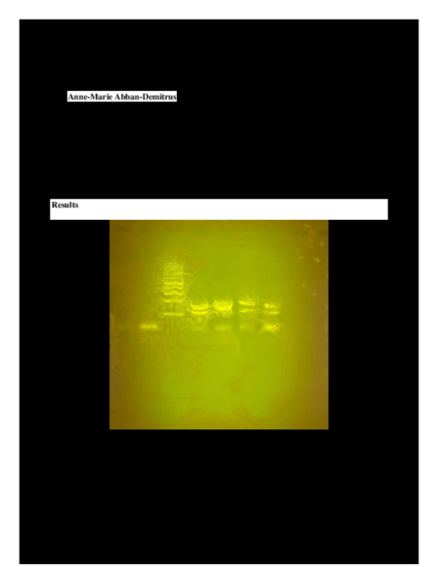 BI108_Partial_Paper_Searchable.pdf