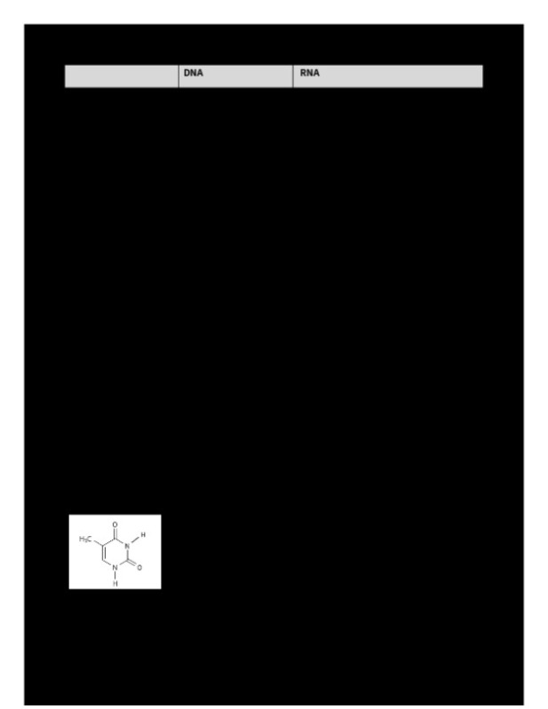 DNA__1_.docx