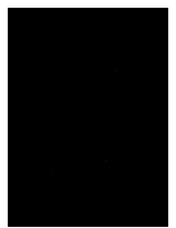 AP_Chem_Lab_1.pdf