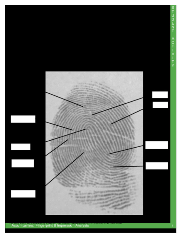 Activity___Label_the_Print.pdf