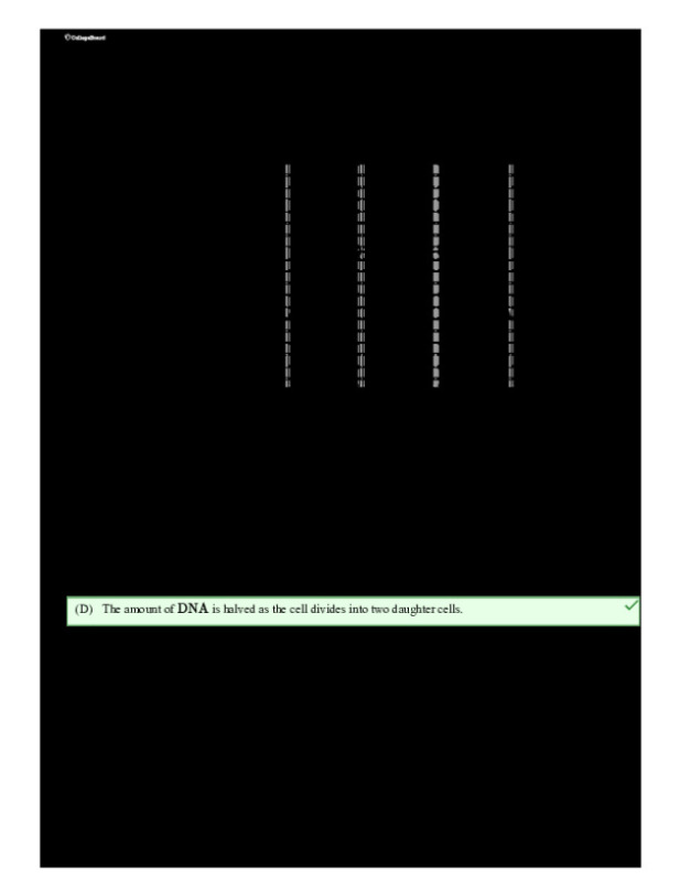 SG_Bigidea4IST_626d0a1d001166.626d0a21918da1.99746145.pdf