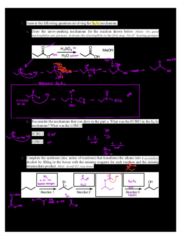 Worksheet_8.pdf