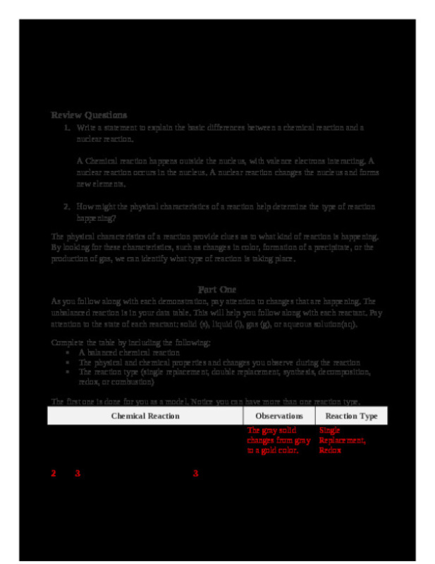 reactions_in_our_world_reportSUBMIT.docx