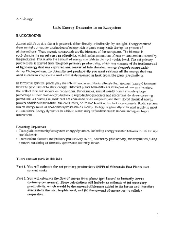 AP_Bio_Lab_Energy_Dynamics.pdf