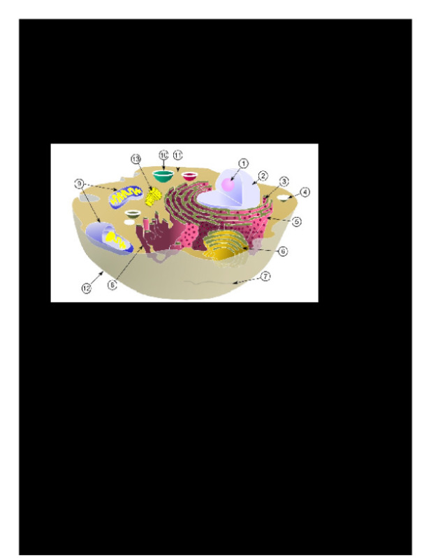 BISC_1010_3.2_Prueba_corta_3.docx