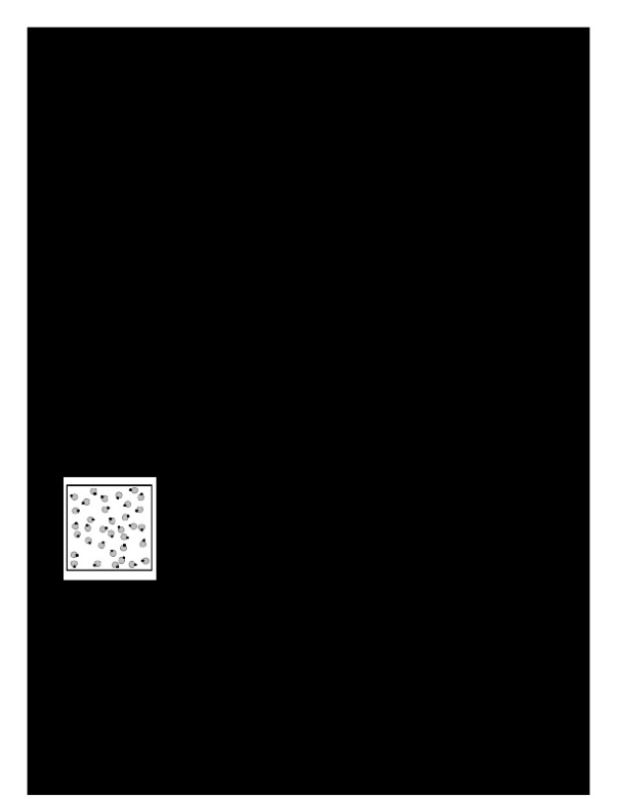 Organization_of_Matter_and_Atomic_Structure_Quiz_B.docx