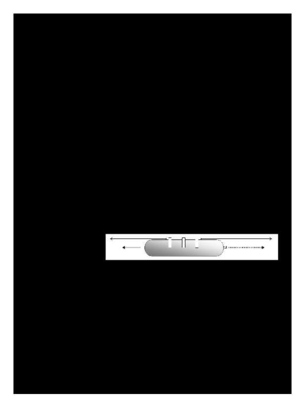 lab_baloon_rockets_newtons_laws.pdf