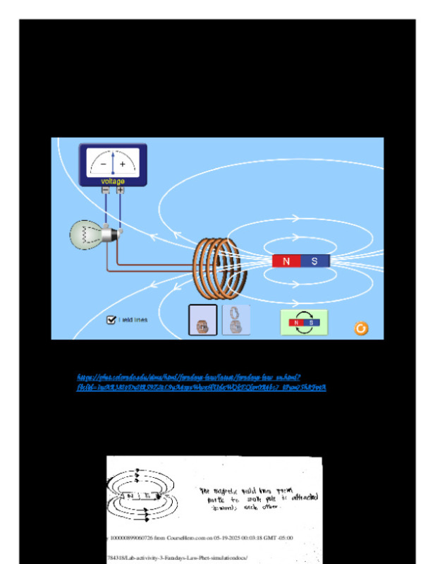 Lab_activivity_3_Faradays_Law_Phet_simulation.docx