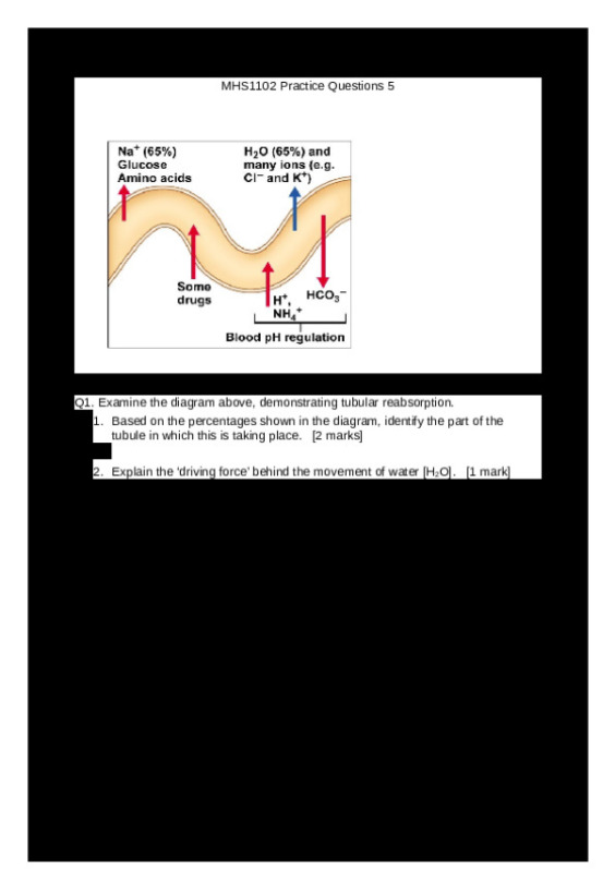 MHS1102_2019_Practice_Questions_5_1_.docx