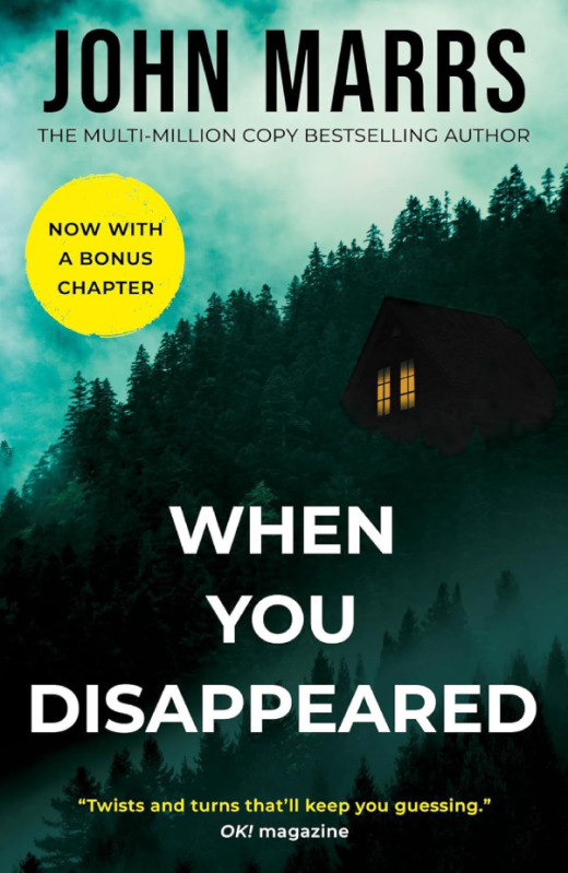When You Disappeared by John Marrs preview image