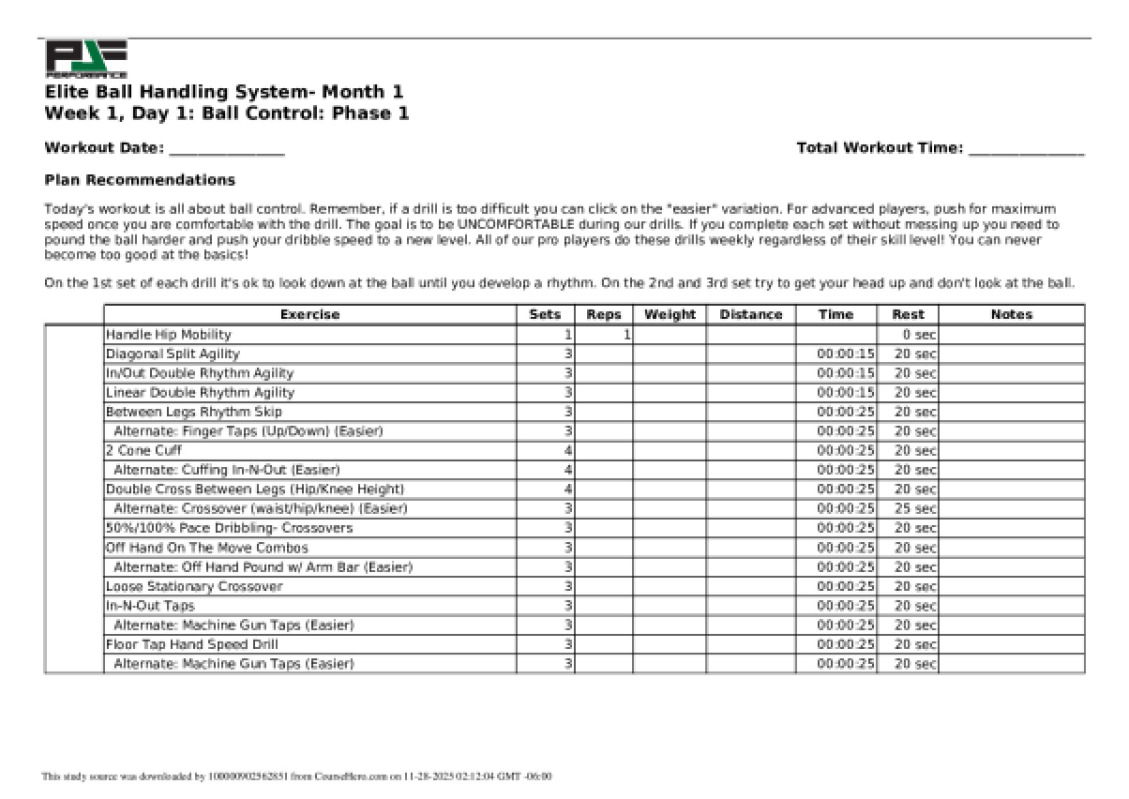 paulfabritz_pjf_system_ball_handling_workout_21583.pdf
