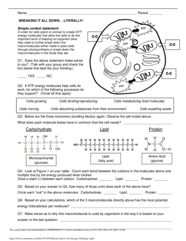 Kami_Export___14b_Energy_Challenge_1.pdf