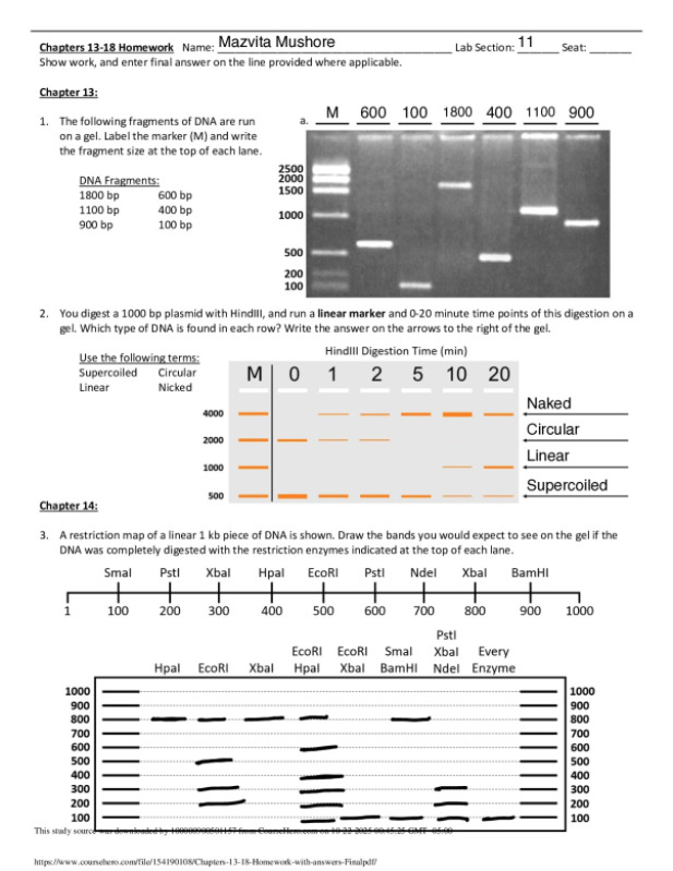 Chapters_13_18_Homework_with_answers_Final.pdf