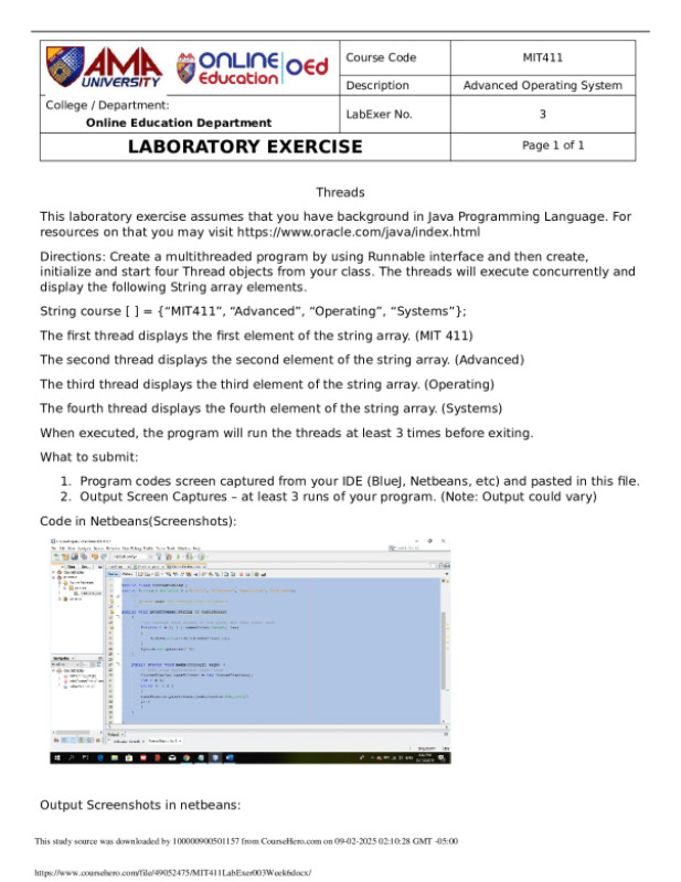 MIT411LabExer003(Week6) preview image