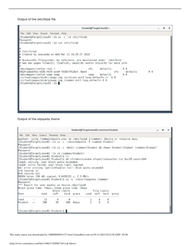 ISSC344_Lab 6. preview image