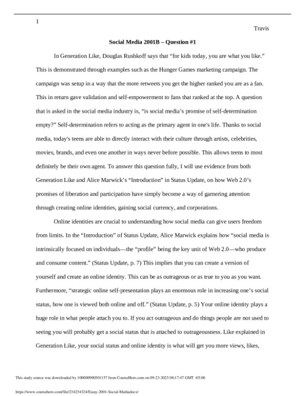 Essay___2001_Social_Media.docx