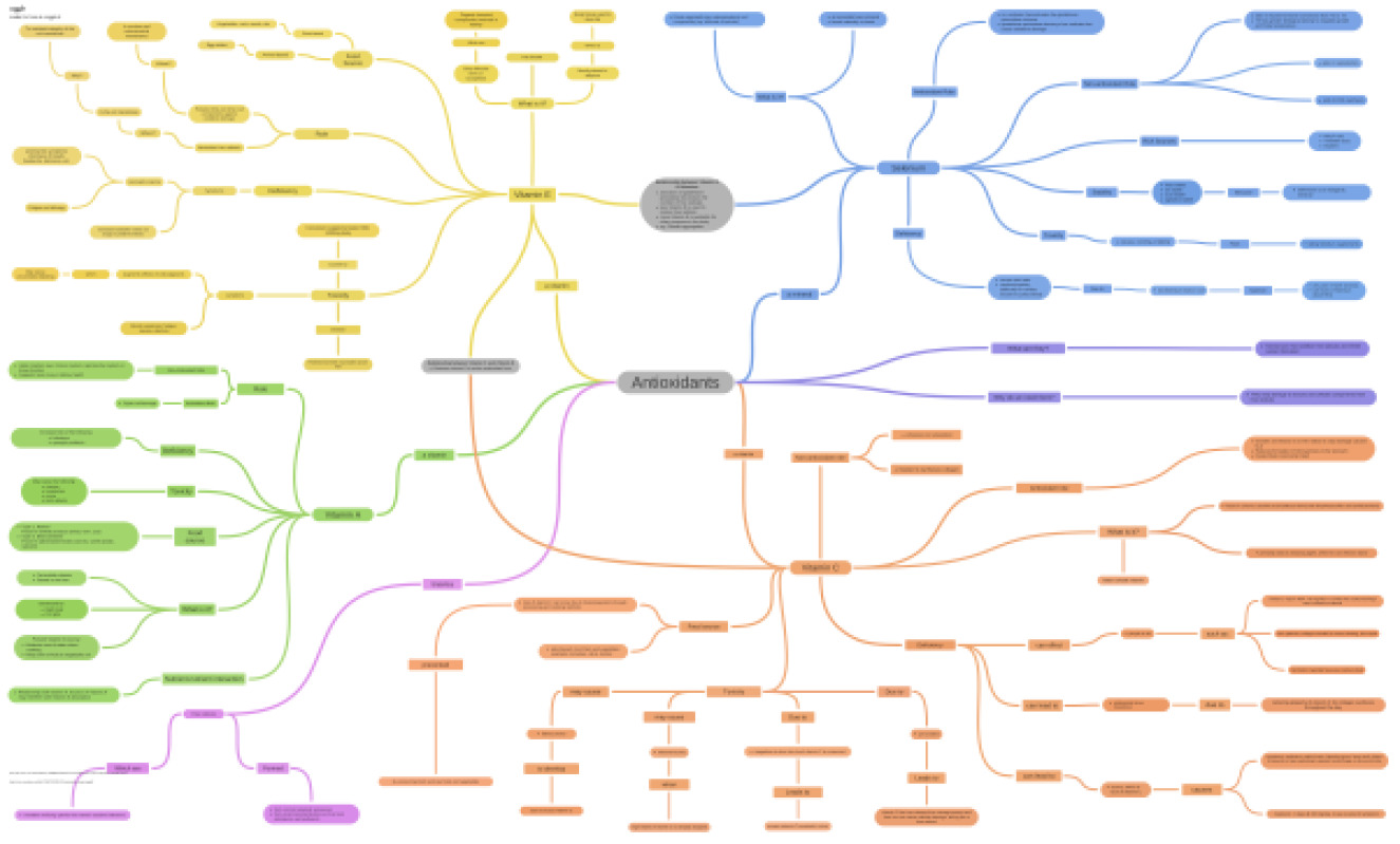 FNH_250_antioxidant_concept_map.pdf