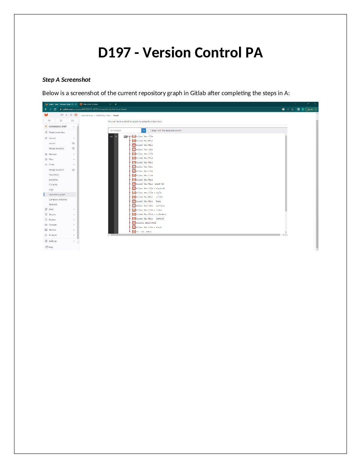 IT D197  Version Control PA preview image