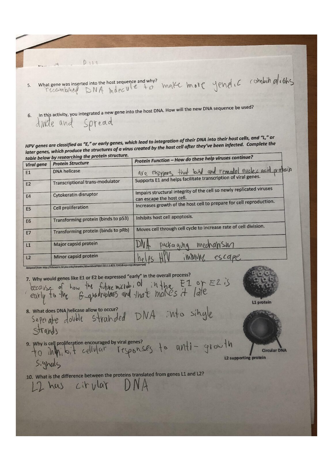 unnamed__1_.jpg.pdf Preview 1