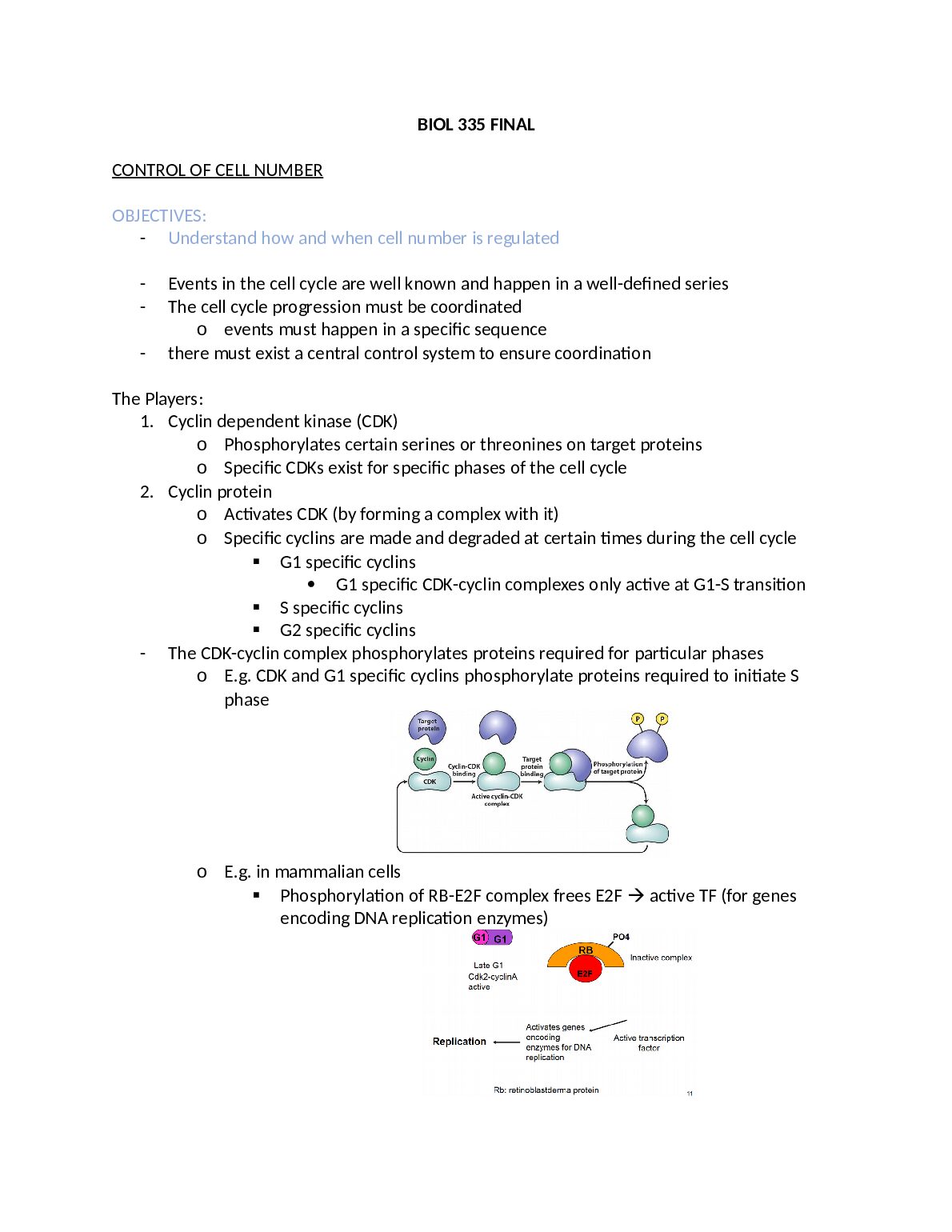 BIOL_335_FINAL.docx.pdf Preview 1