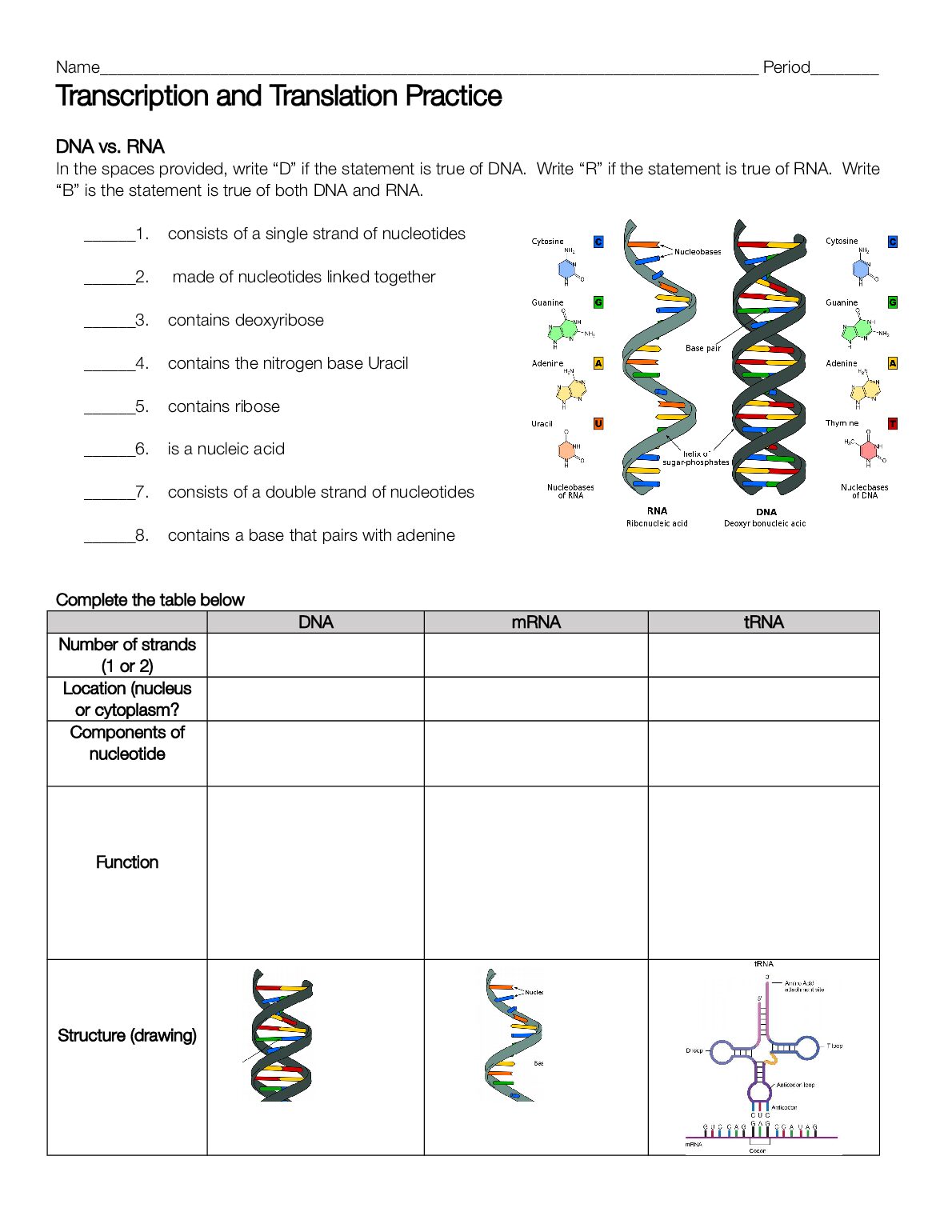 2021_Transcription_and_Translation_Practice.docx.pdf Preview 1