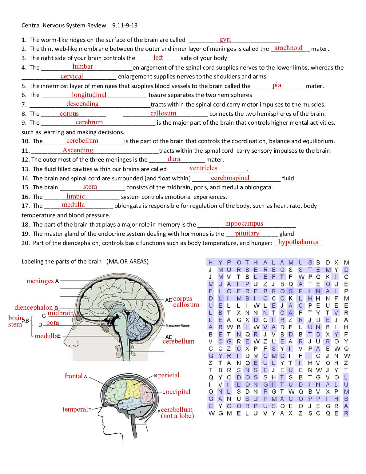 Kami_Export___Jasmin_Yanez_Cortez___review_nervous_02.pdf.pdf Preview 1