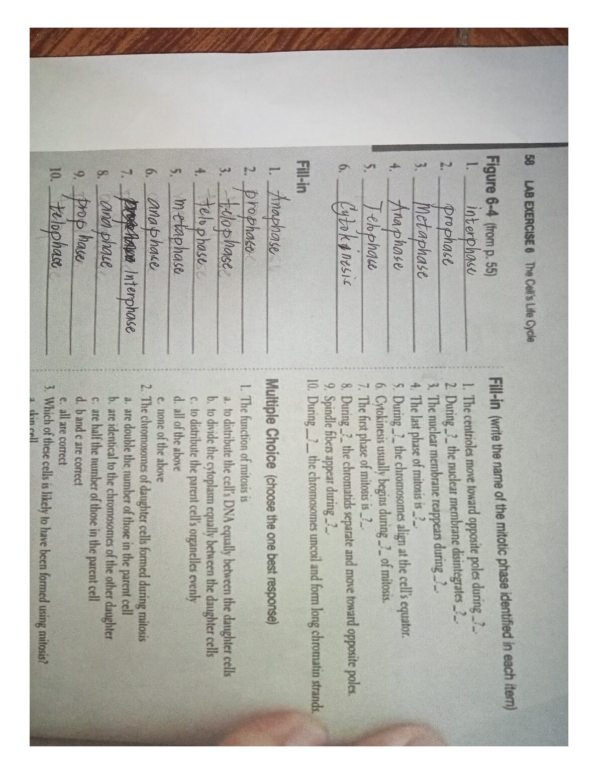 BIO 45 Biology Exam preview image