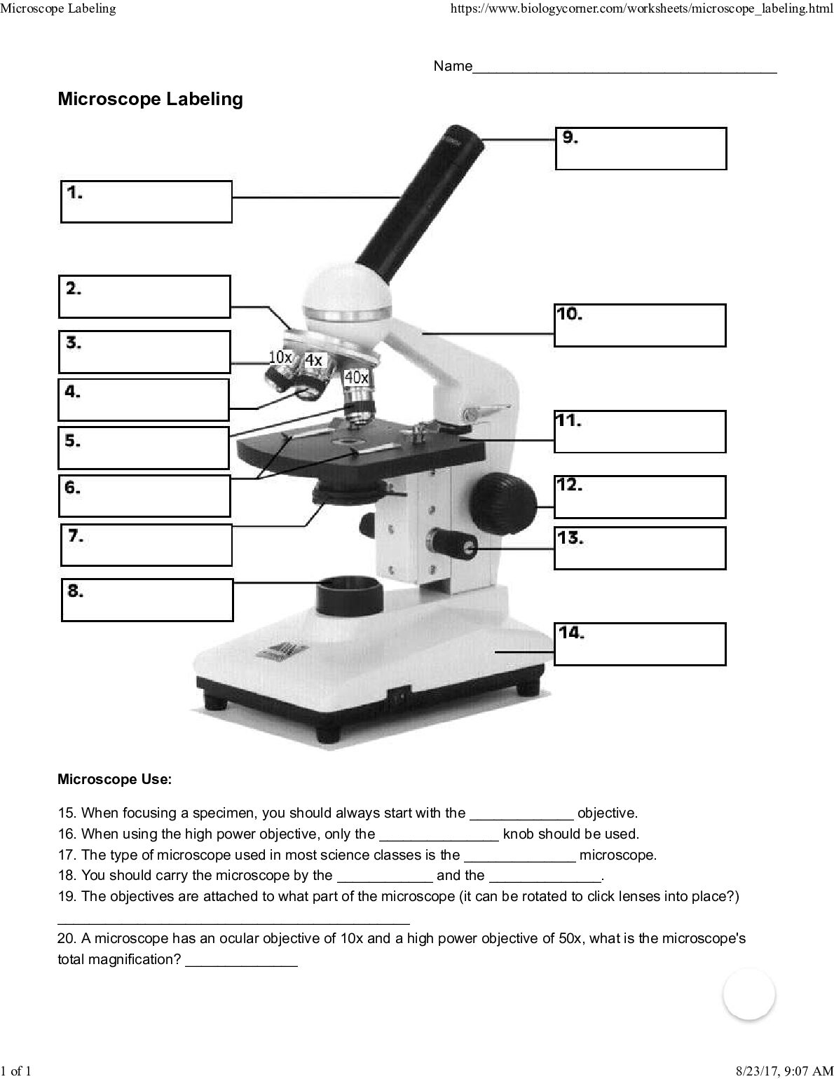 Microscope Microscope Labeling preview image