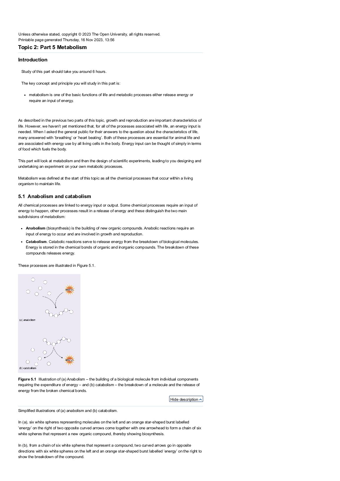 SCIENCE S111  Topic 2: Part 5 Metabolism preview image