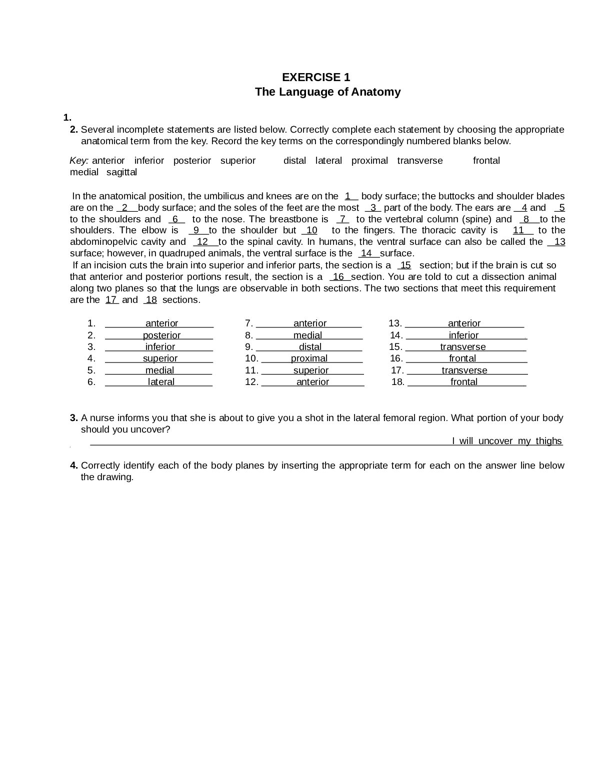 EXERCISE 1 The Language of Anatomy preview image