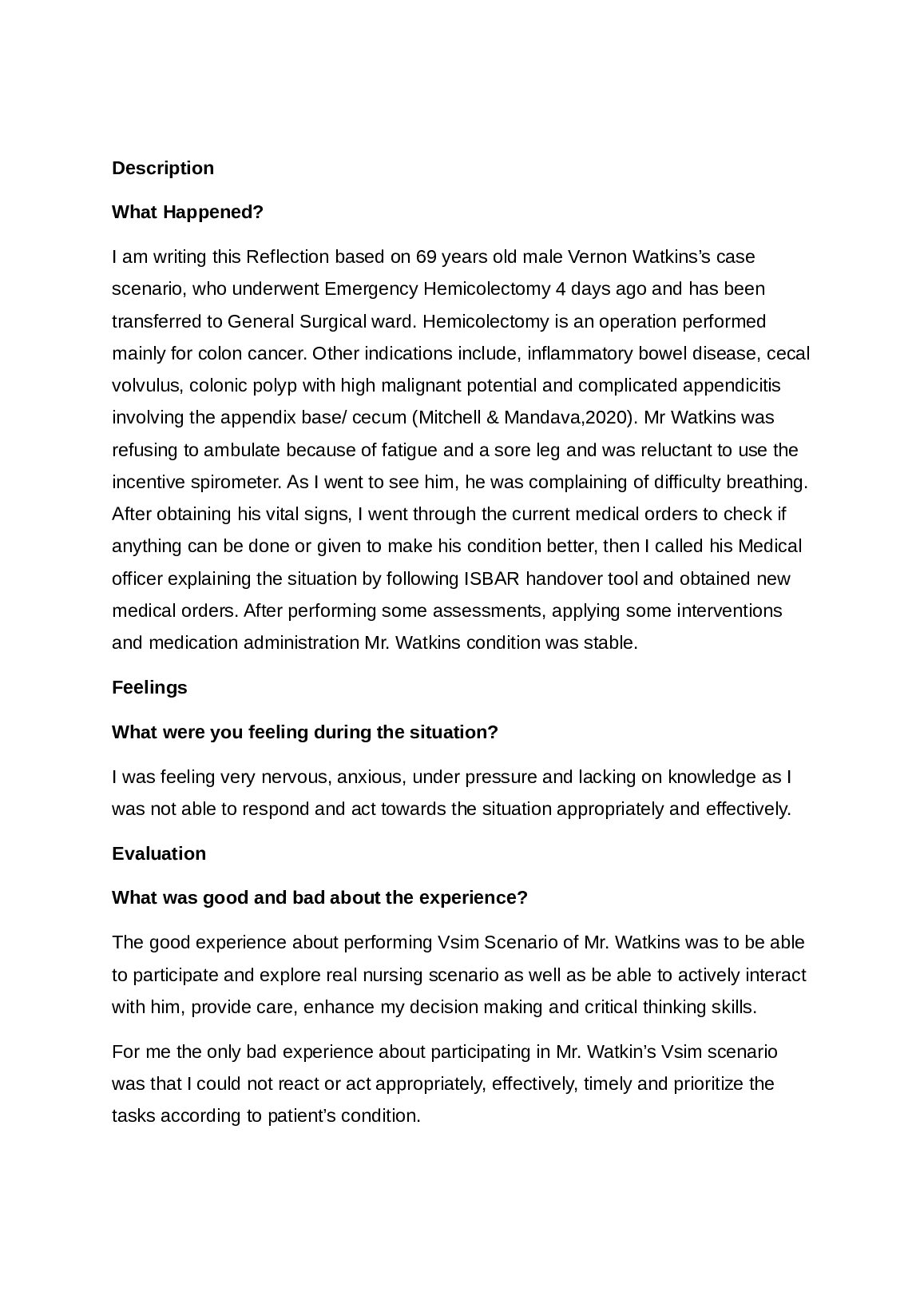 Reflection Vsim | Description, Feelings, Evaluation, Analysis, Conclusions & Action plan preview image