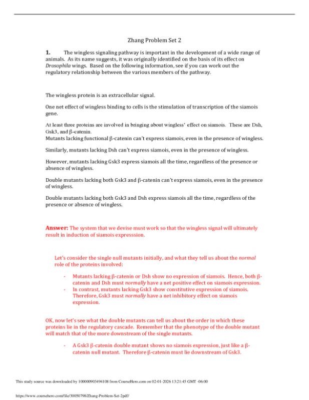 Zhang_Problem_Set_2.pdf