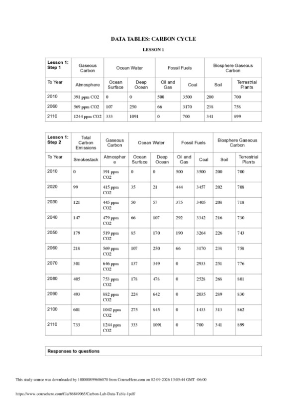 Carbon Lab Data Table preview image