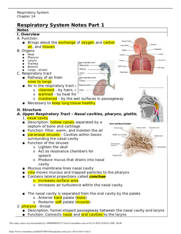 respiratory_notes_pt_1_fill_in_kd14__1_.docx