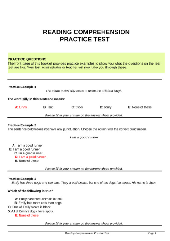 readingcomprehensionpractice.docx