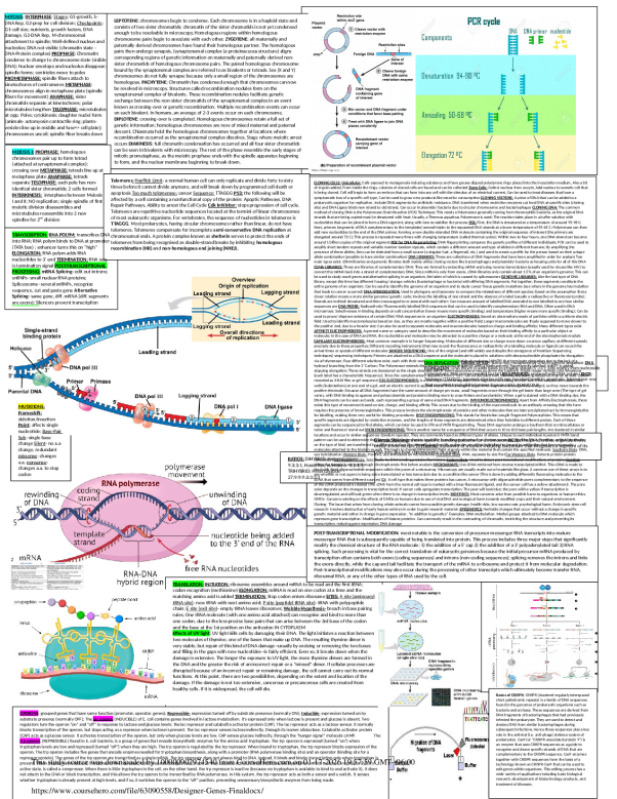 Designer_Genes_Final.docx