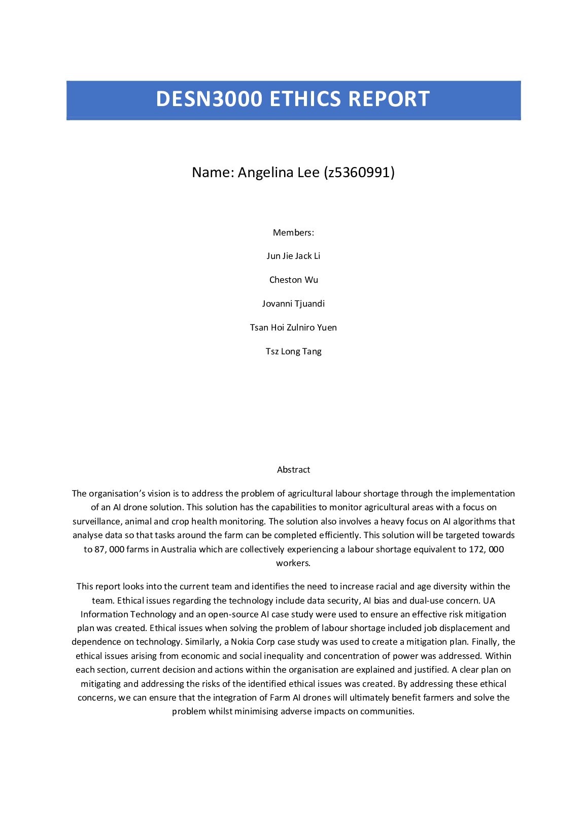 DESN 3000 ETHICS REPORT preview image