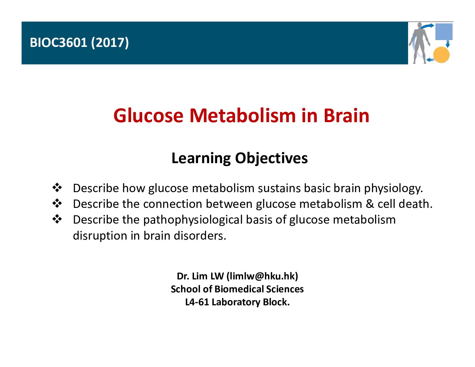 BIOC3601 Glucose Metabolism in Brain preview image