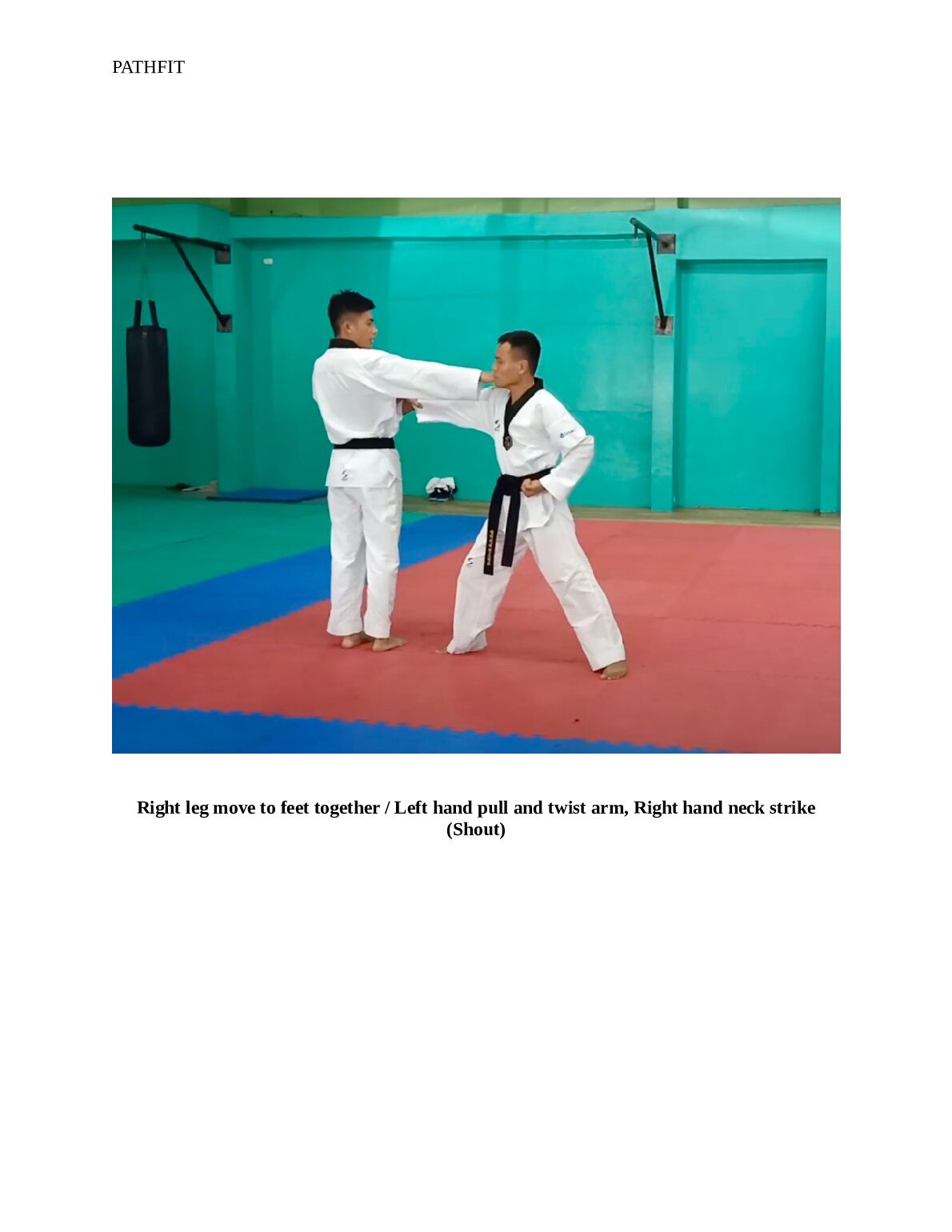 PATHFIT RESEARCH ON SEQUENTIAL IMAGES OF TAEKWONDO SELF DEFENSE OR WHITEBELTS document preview page 2