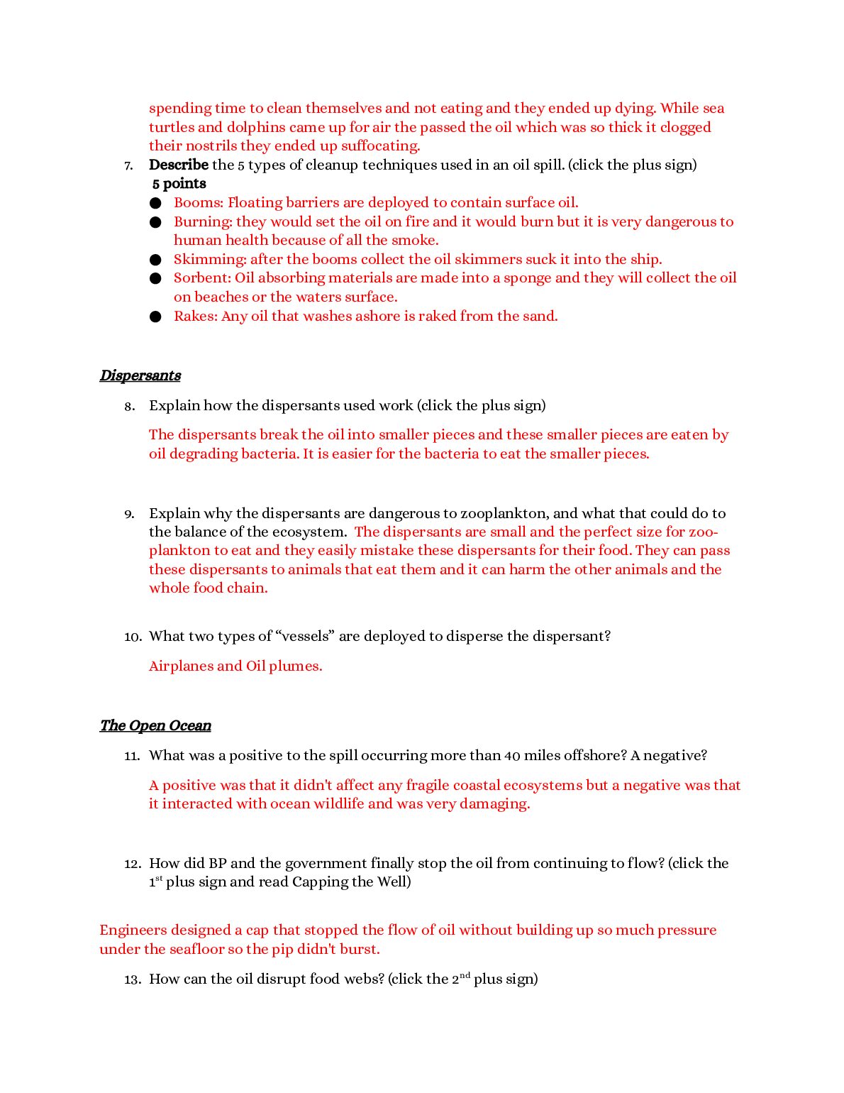BP Deepwater Horizon: The Worst Oil Spill in US History  - A Webquest and Virtual Lab document preview page 2