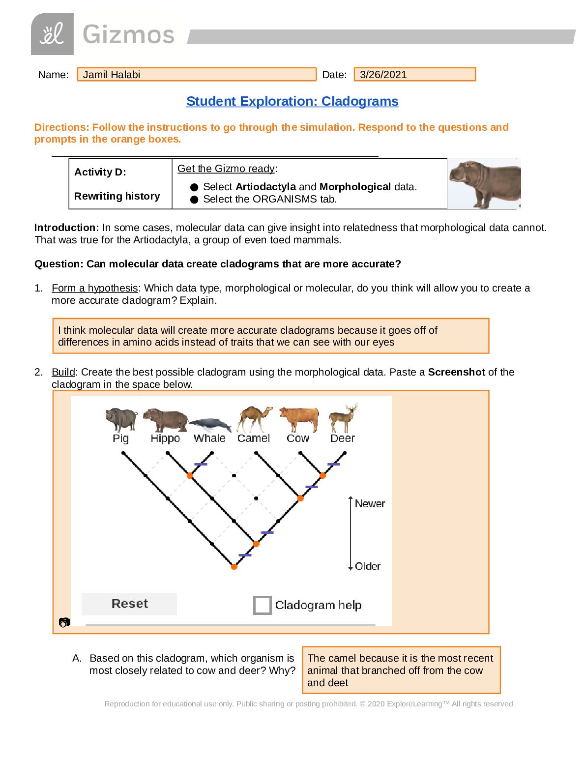 Cladogram Gizmo Activity -Can molecular data create cladograms that are more accurate? preview image