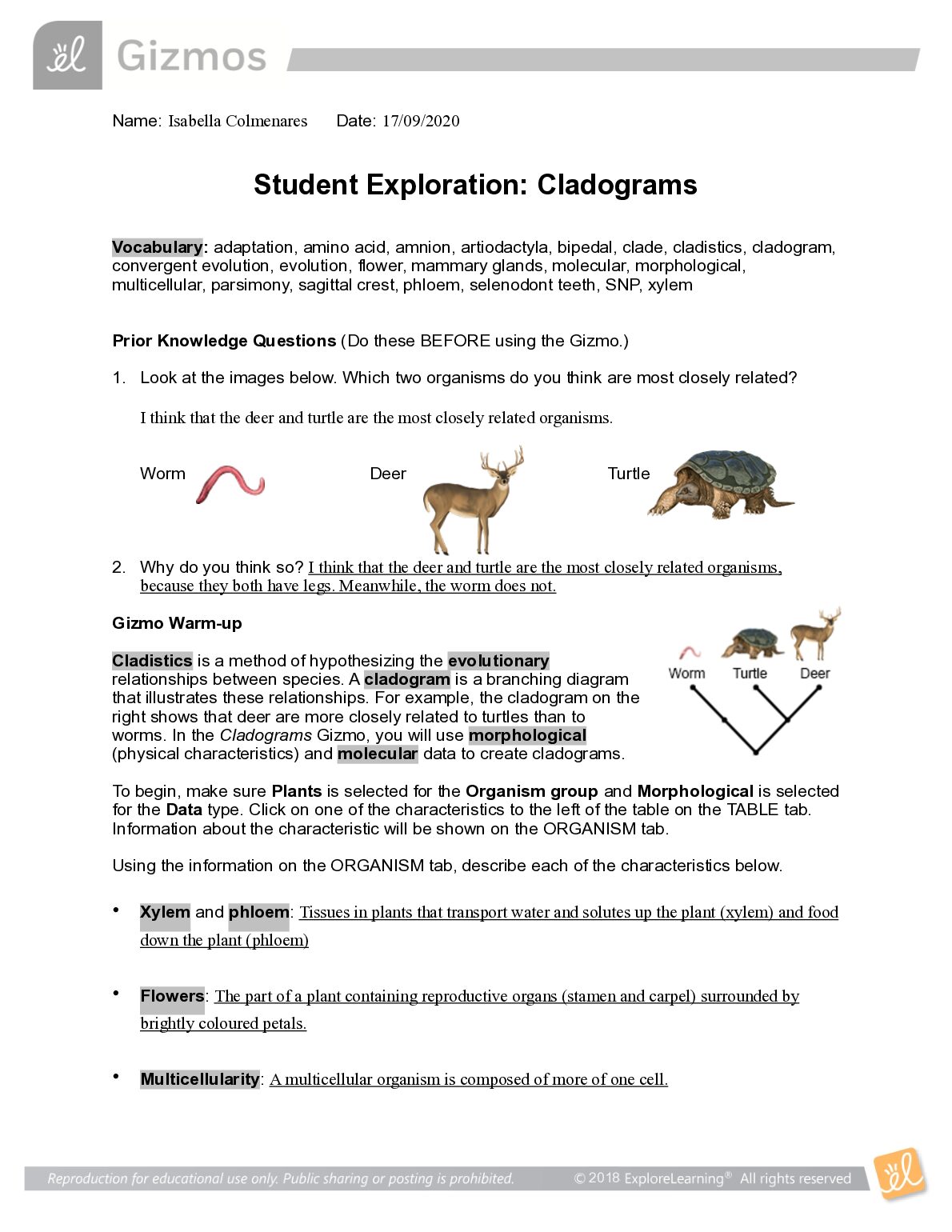 Gizmos (PDF).-Student Exploration: Cladograms preview image