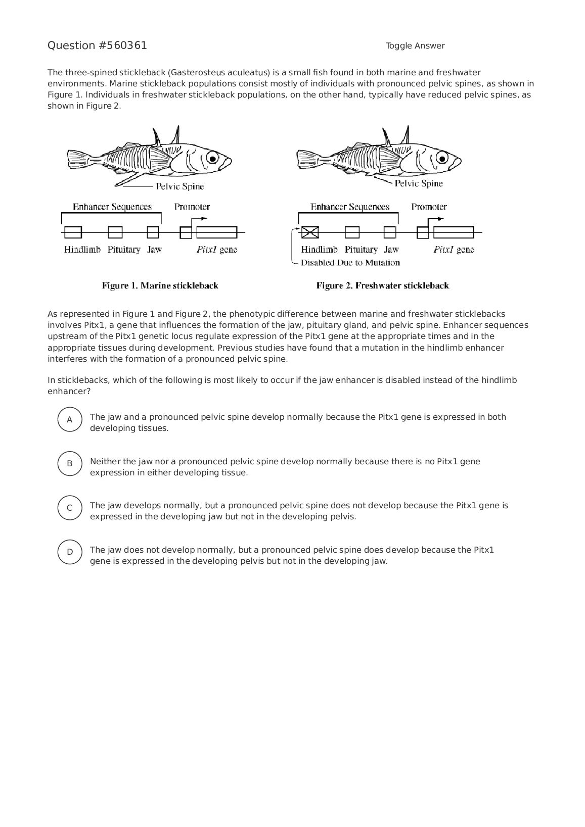 560361.pdf.pdf Preview 1