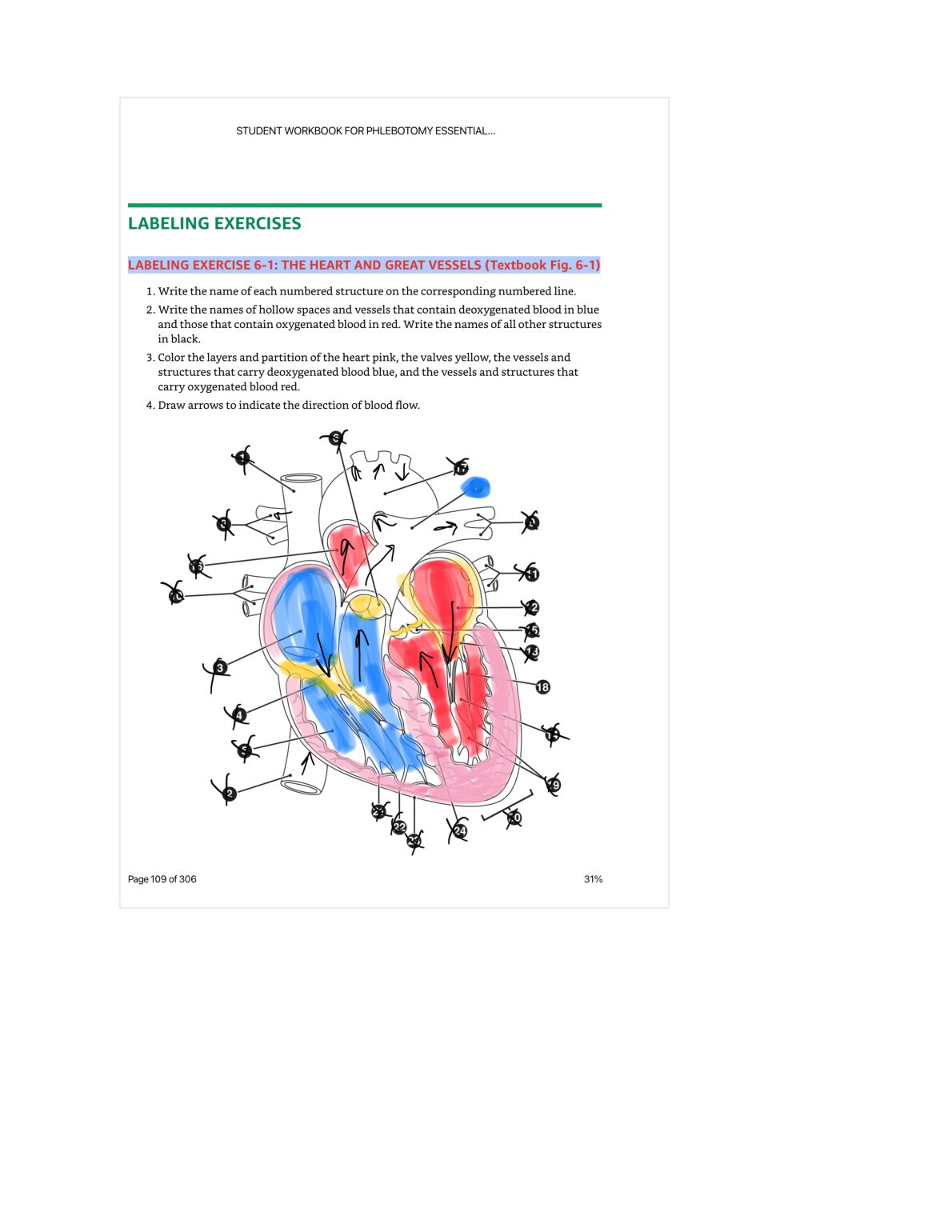 Chapter 6 workbook MEDICAL AD 51393 document preview page 4