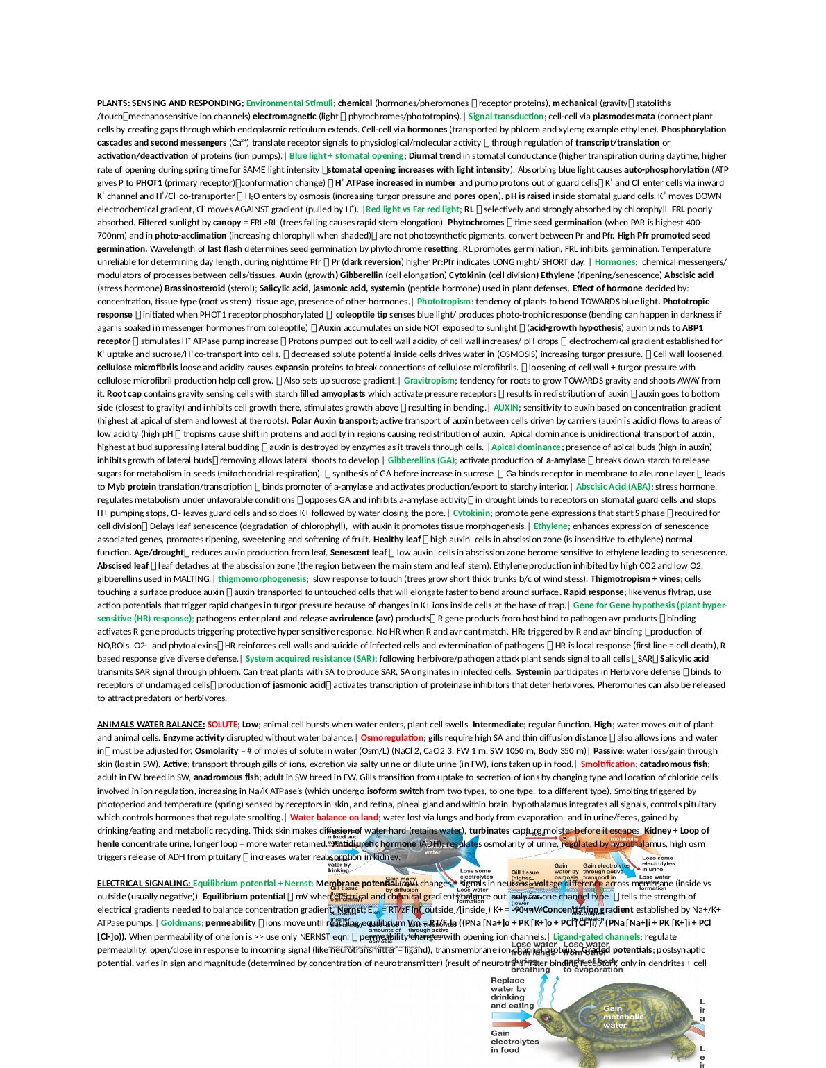 docx (8).pdf Preview 1